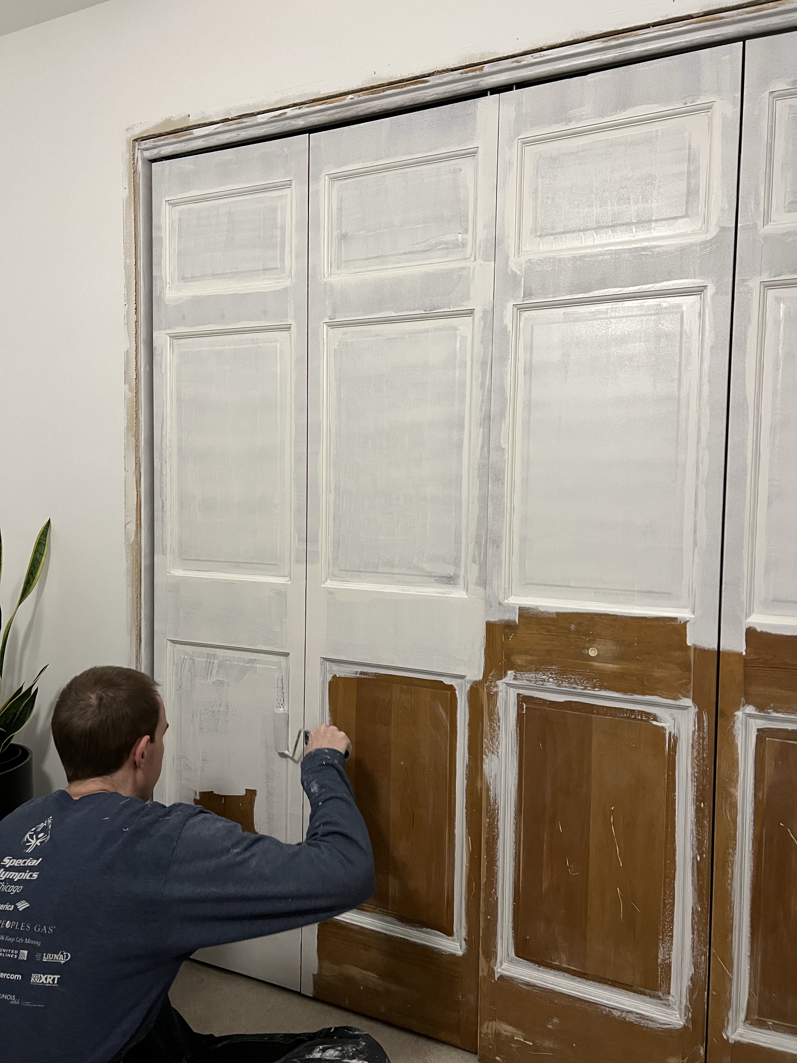 wood doors after primer